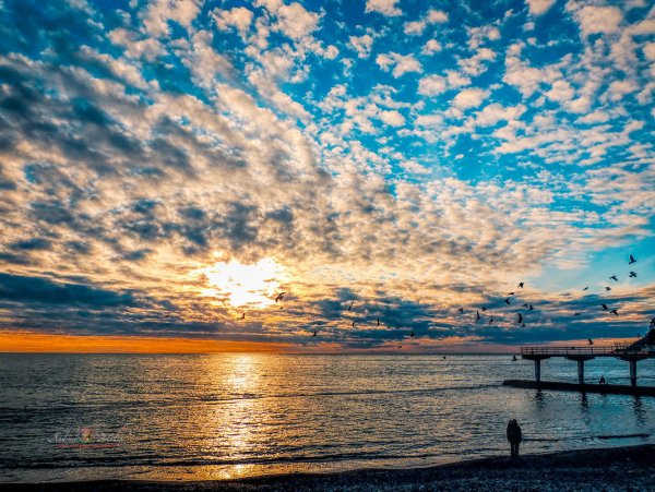 Восход Сочи Адлер