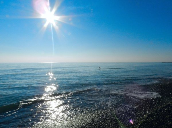 Морской Прибой Сочи