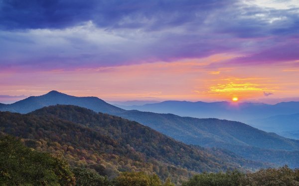 Пляж чёрный море Пицунда