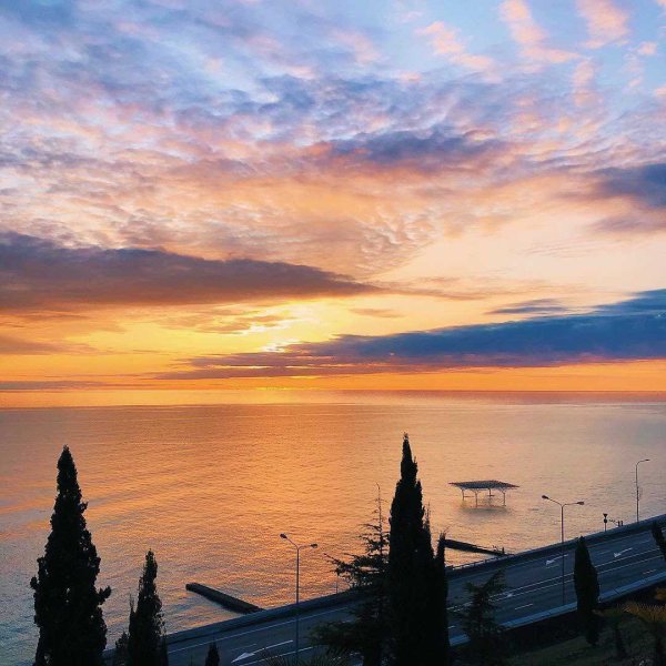 Пальмы солнце