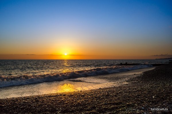 Сочи пальмы