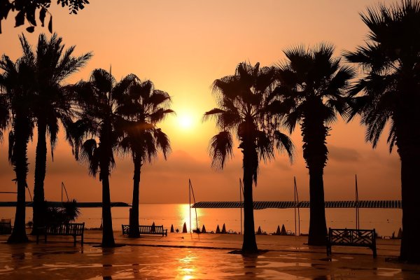 Сухуми набережная парапет черное море