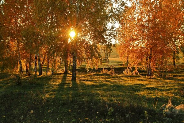 Солнечный осенний день