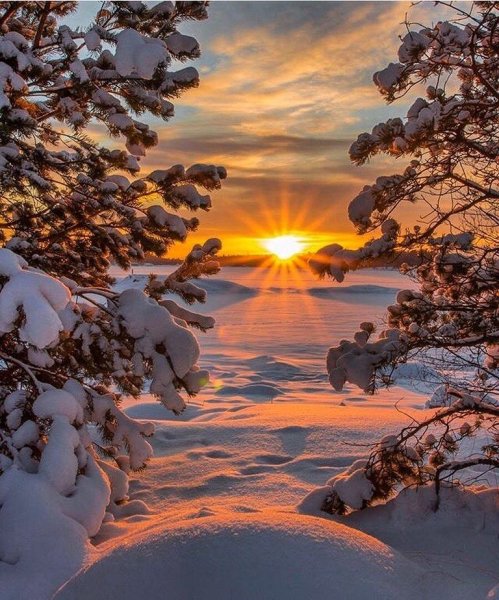 Доброе зимнее утро