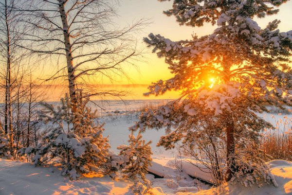 Зимнее утро фото