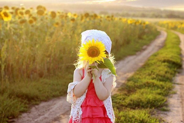 Солнце радость