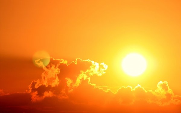 Желтое солнце