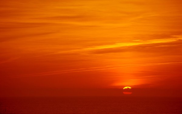 Фон желтый пейзаж