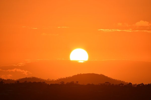 Оранжевый туман