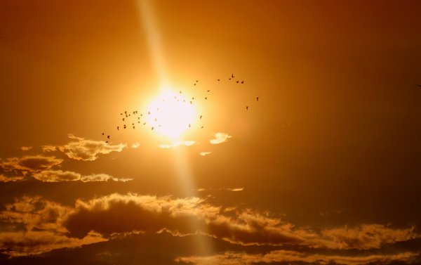 Сильное солнце