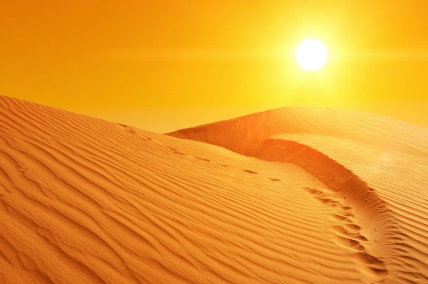 Солнечный зонтик