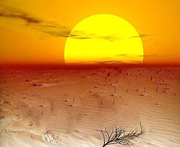 Майское солнце