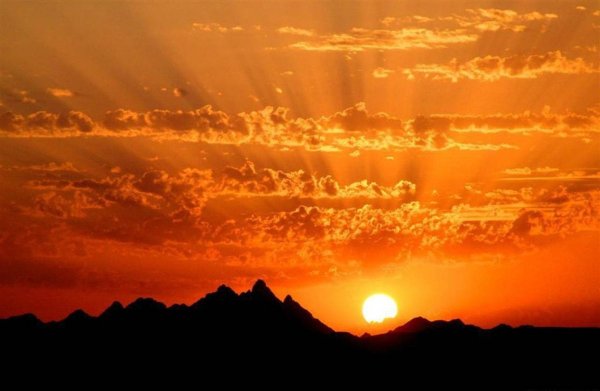 Жаркое солнце