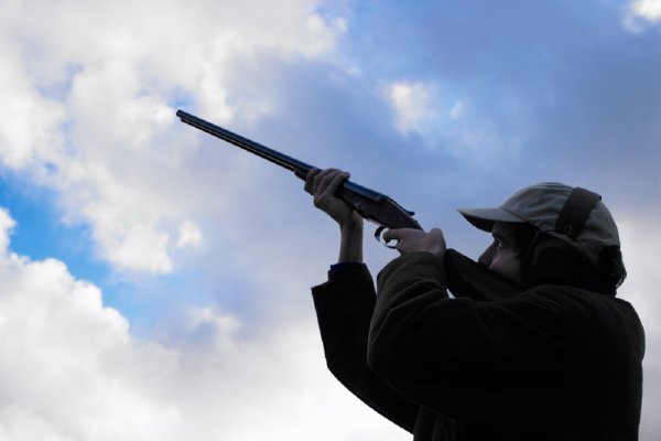 Человек стреляет в небо