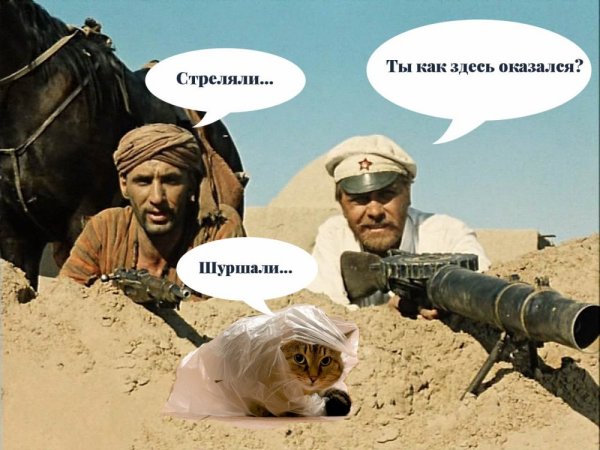 Девушка сивинтовкой натзакате