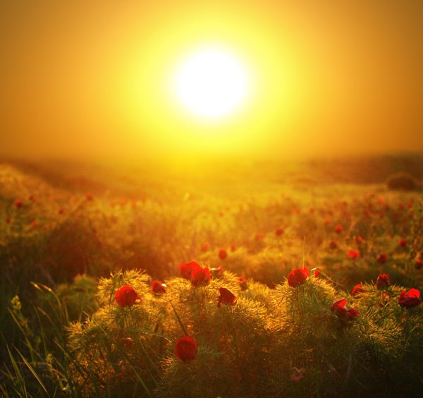 Июнь солнце