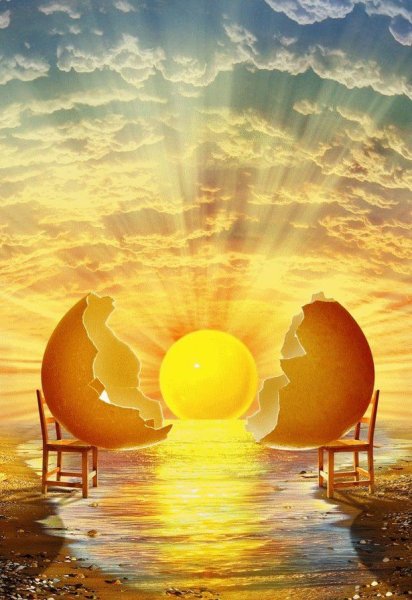 Тянемся к солнцу