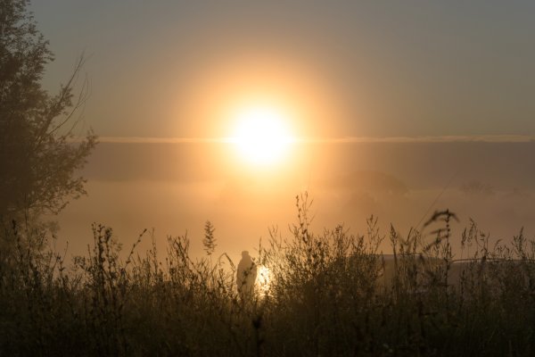 Красивая природа рассвет