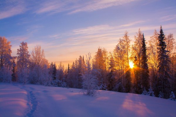 Северное солнце