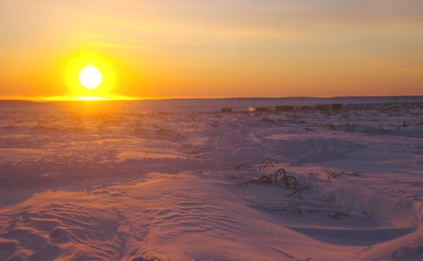 Восход в тундре