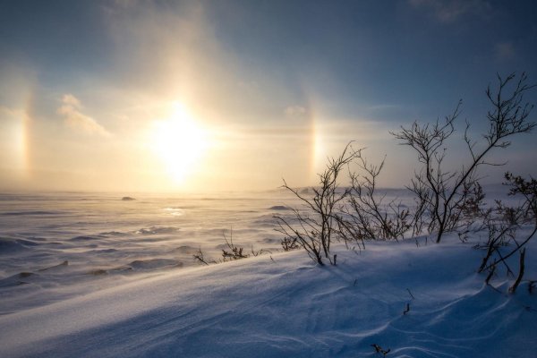 Гало тундра