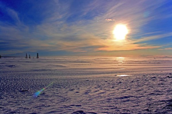 Солнце в тундре
