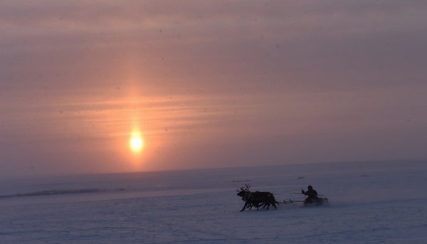 Тундра зимой Полярная ночь