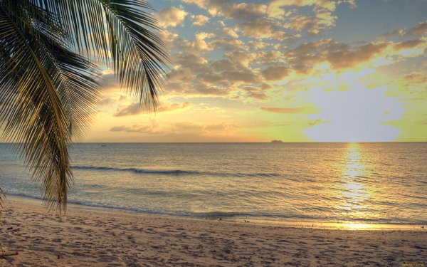 Солнце пляж