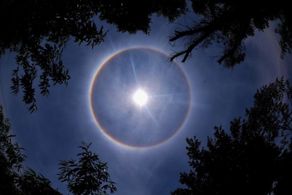 Гало Радуга вокруг солнца