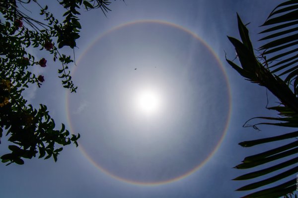 Гало Радуга вокруг солнца