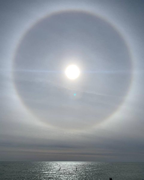 Галло вокруг солнца