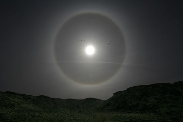 Эффект гало Луна