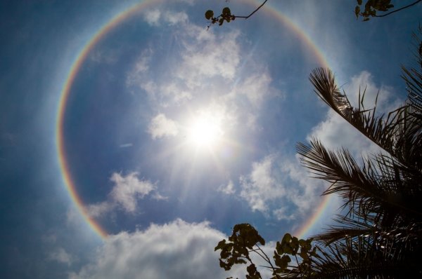 Круглая Радуга вокруг солнца