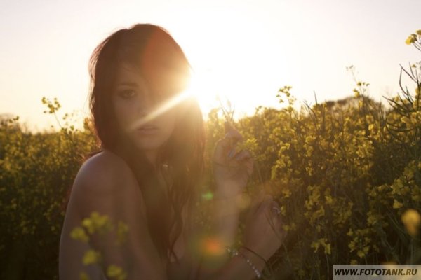 Снимки против солнца