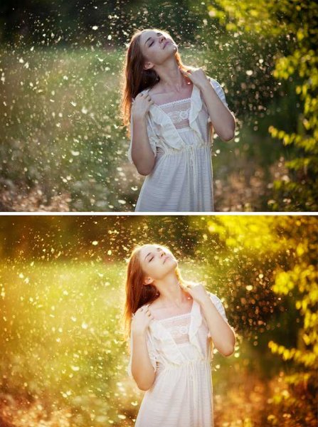 Портрет против солнца