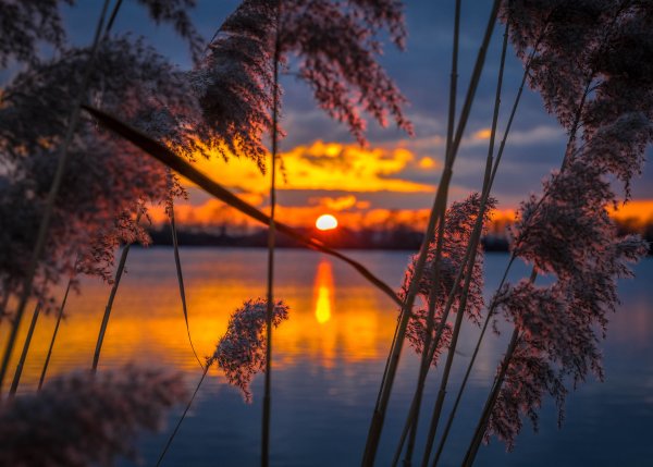 Поздний закат