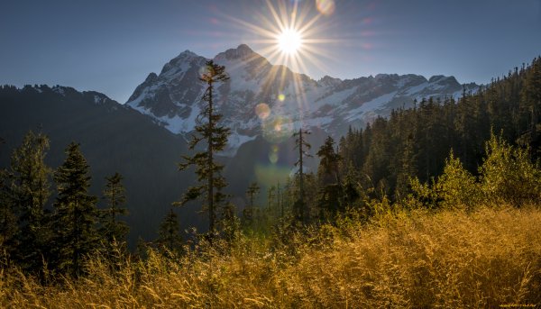 Лес горы солнце