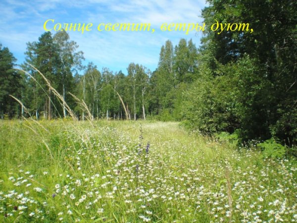 Явления природы осенью для дошкольников