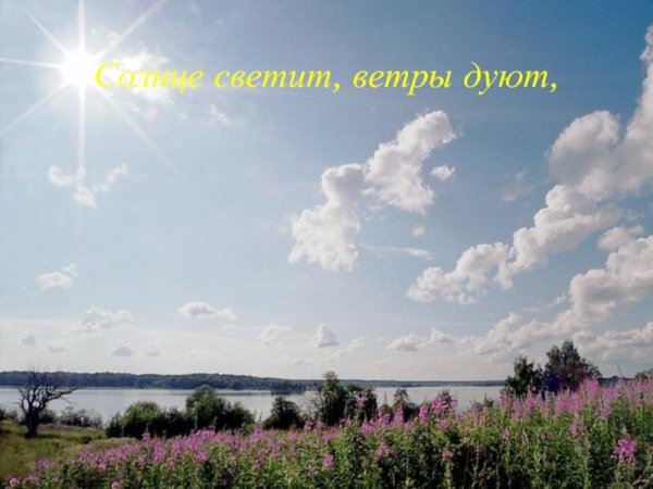 Слова песни у моей России длинные косички в России светлые реснички