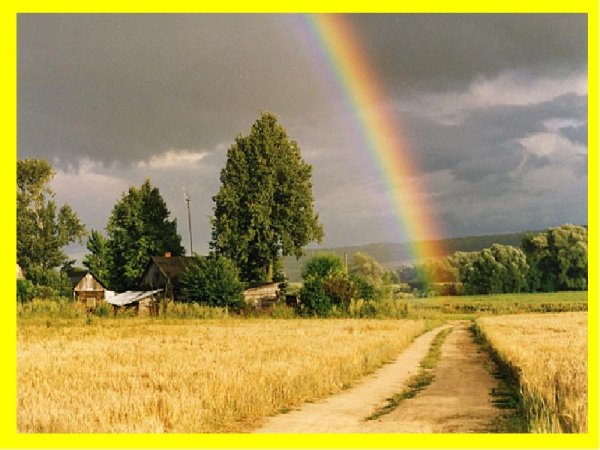 Солнце светит ветры дуют ливни льются