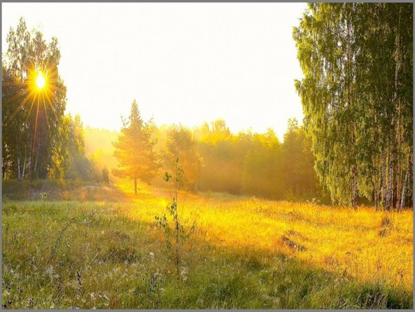 Весенний ветер стих