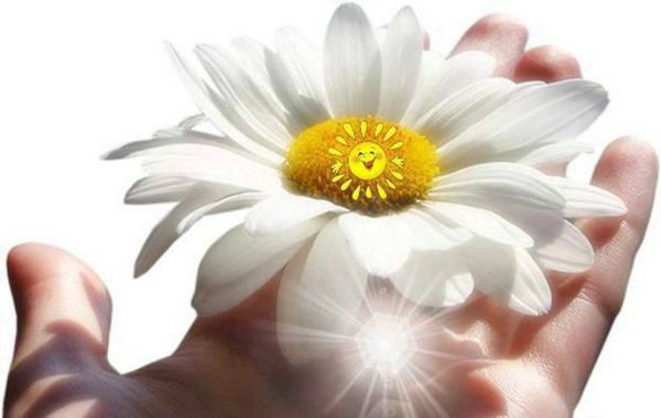 Дарю солнышко