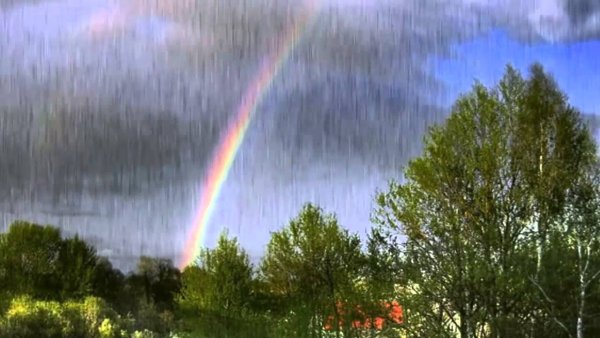 Дети солнца и дождя