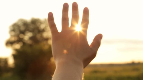 Солнце сквозь ладони