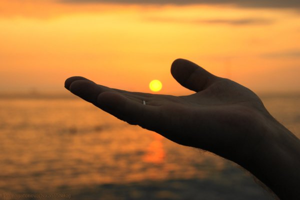 Руками до солнца