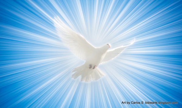 Голубь с ромашками на голубом фоне