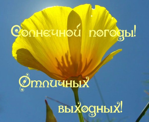 Солнечных выходных и отличного настроения