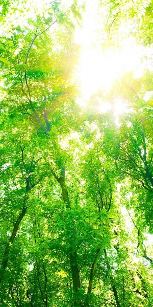 Красный закат