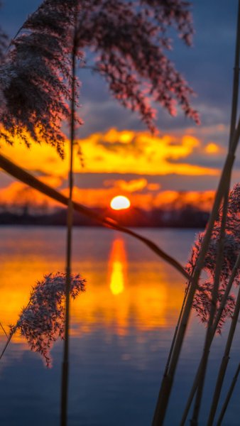 Снимок солнца из космоса