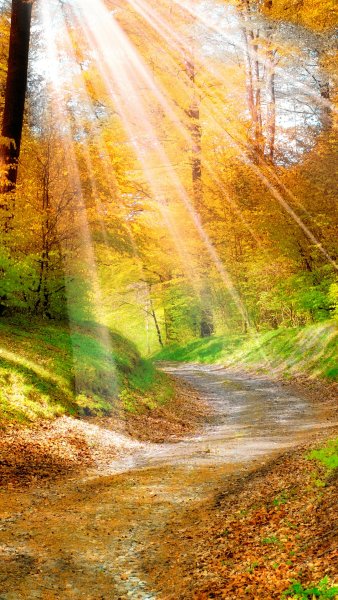 Отблекс солнце на море